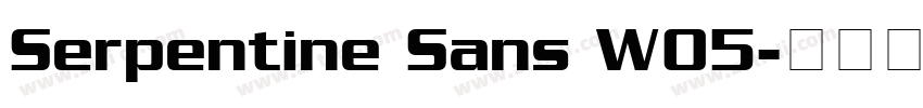 Serpentine Sans W05字体转换